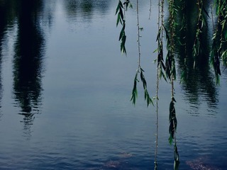 2D163F50-9C3A-44F1-887A-9A972008EEE1/L0/001