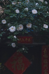 3315B817-72DB-46E1-ACB4-AC3A75198302/L0/001