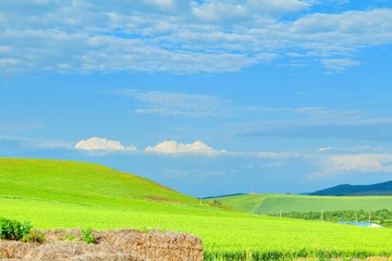 0D72151E-7438-41F0-BDB2-43B2661D2843/L0/001