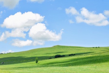 D20774AD-F923-4C0B-8724-6EE06EF4E726/L0/001