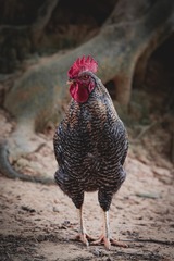 167164