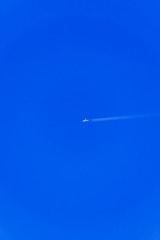 1000003278