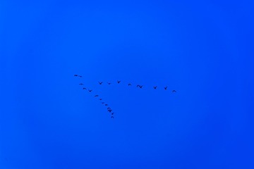 1000003281