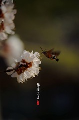 1B1921BC-E7A6-4FA8-803A-E14FC36453E5/L0/001