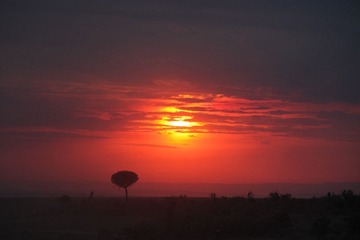 IMG_4675.JPG