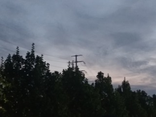 259329