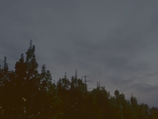 259335