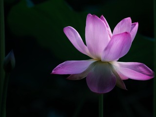 EEF91142-A7B5-4E72-AA81-A4EB43823D40/L0/001