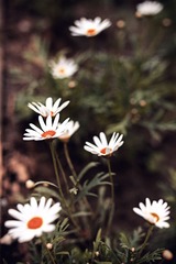 IMG_5091-编辑.jpg