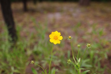IMG_5212.JPG