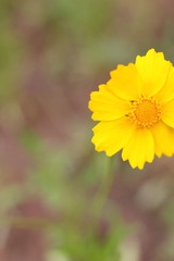 IMG_5224.JPG