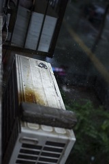IMG_5819.jpg