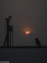 IMG_4750