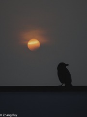 IMG_4747_1