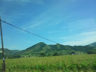 20120906_150937.jpg