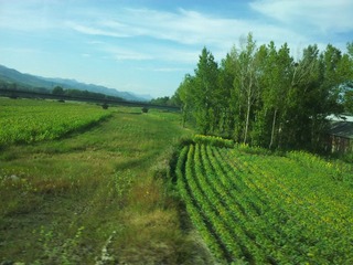 20120906_154130.jpg