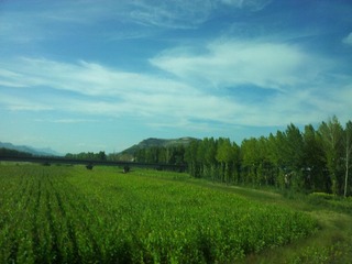 20120906_154135.jpg