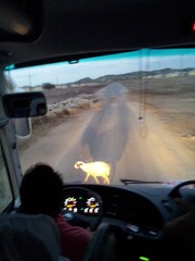 20120906_184846.jpg