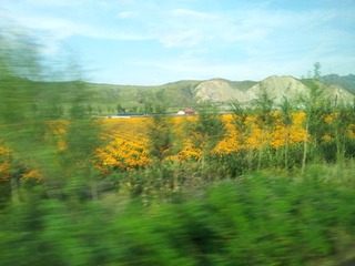 20120906_161313.jpg