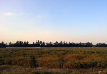 20120915_171641.jpg
