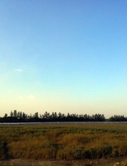 20120915_171645.jpg