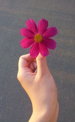 20120915_172915.jpg