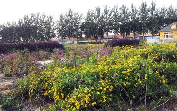 20120915_153243.jpg