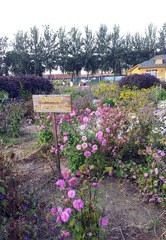 20120915_153300.jpg