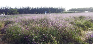 20120915_154201.jpg