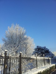 20130320_073632.jpg