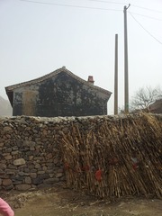 20130309_115919.jpg