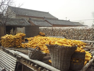 20130309_120013.jpg