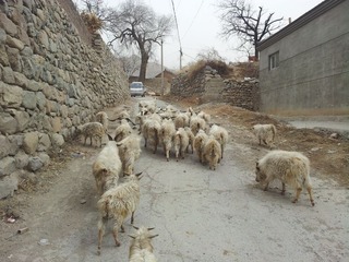 20130309_130918.jpg