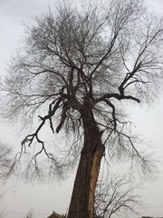 20130309_131057.jpg