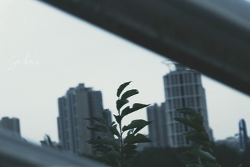 9646A9E6-5A77-467B-9034-1A5965A75BDF/L0/001