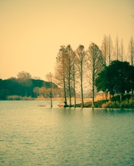 5E2D82F7-9F59-4828-B500-B1B5D959F290/L0/001