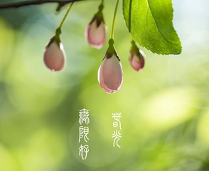 39779AD3-B8EA-480C-BF76-C6BC84966647/L0/001