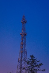 2906445