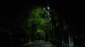 8BD8A66F-247C-4FBE-9EE8-039199F95399/L0/001