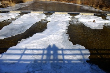 _DSC0083