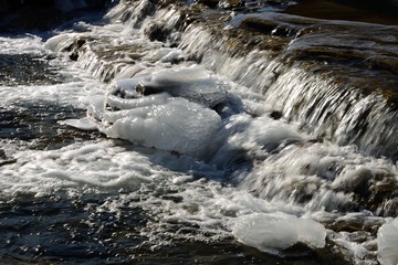 _DSC0088