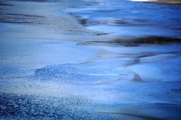 _DSC0102