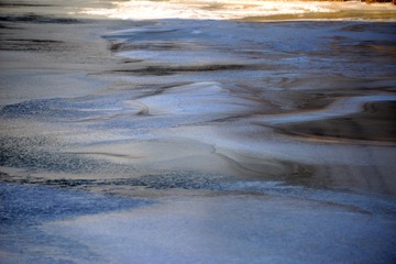 _DSC0123