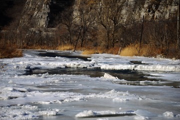 _DSC0141