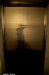 _DSC0184
