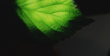 765805