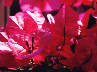 DSC01108_