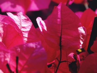 DSC01110_