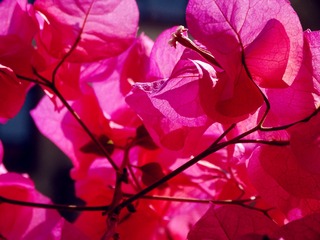 DSC01111_