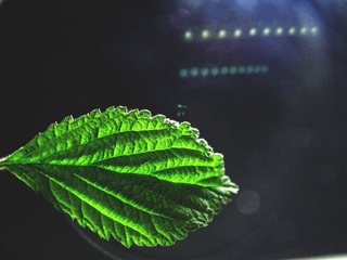 765492